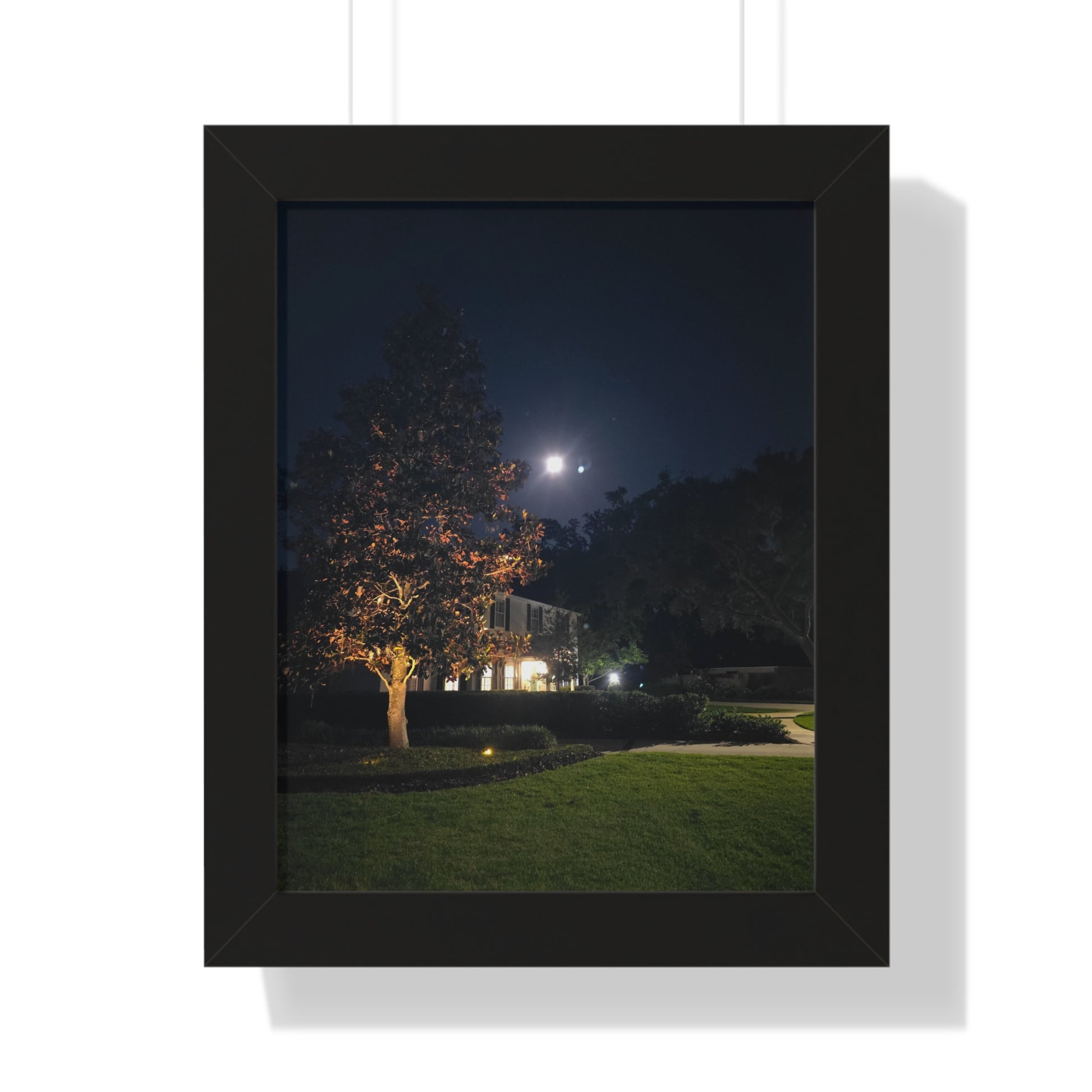 Framed Vertical Poster