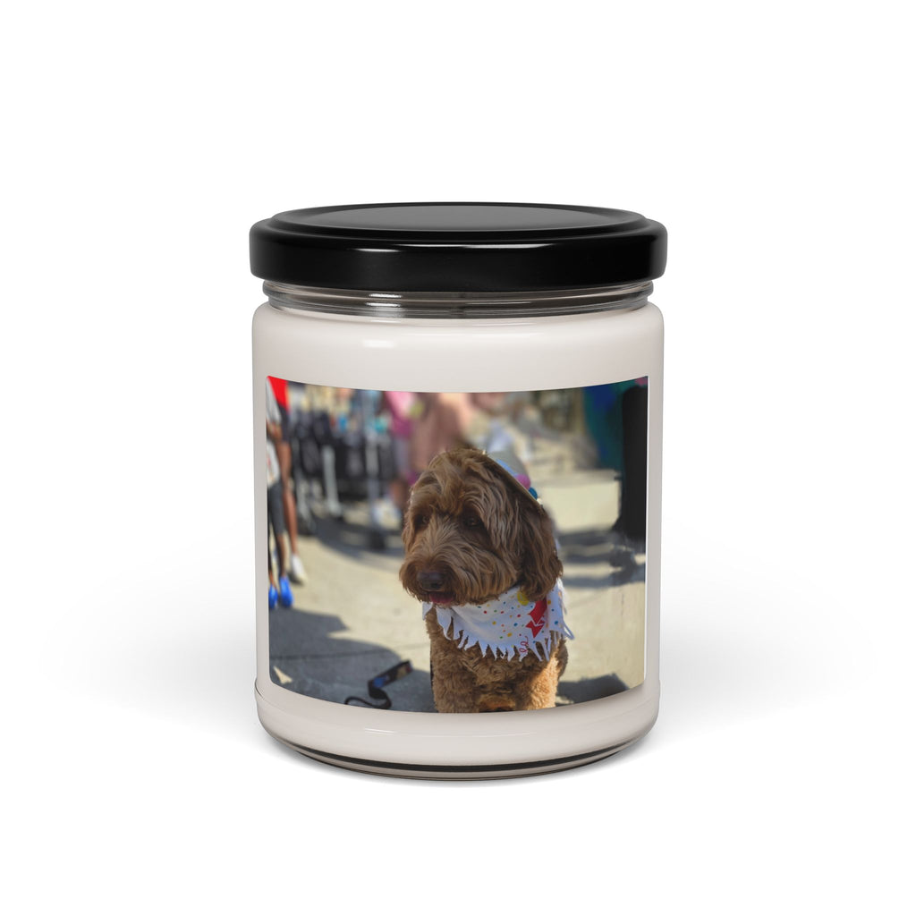 Scented Soy Candle, 9oz