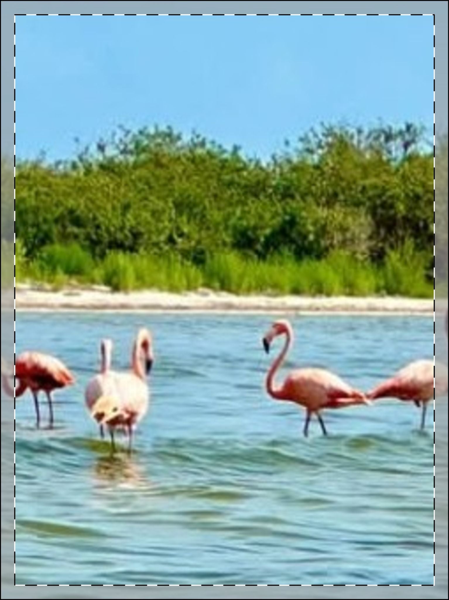 Framed Poster, Multi-Color