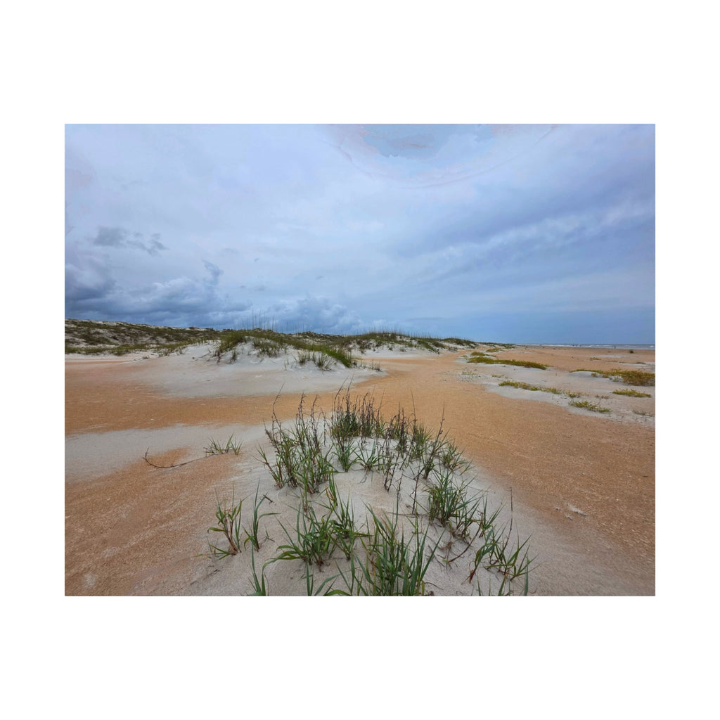 Serene Beach Sand Dunes Landscape Matte Poster - Coastal Home Decor