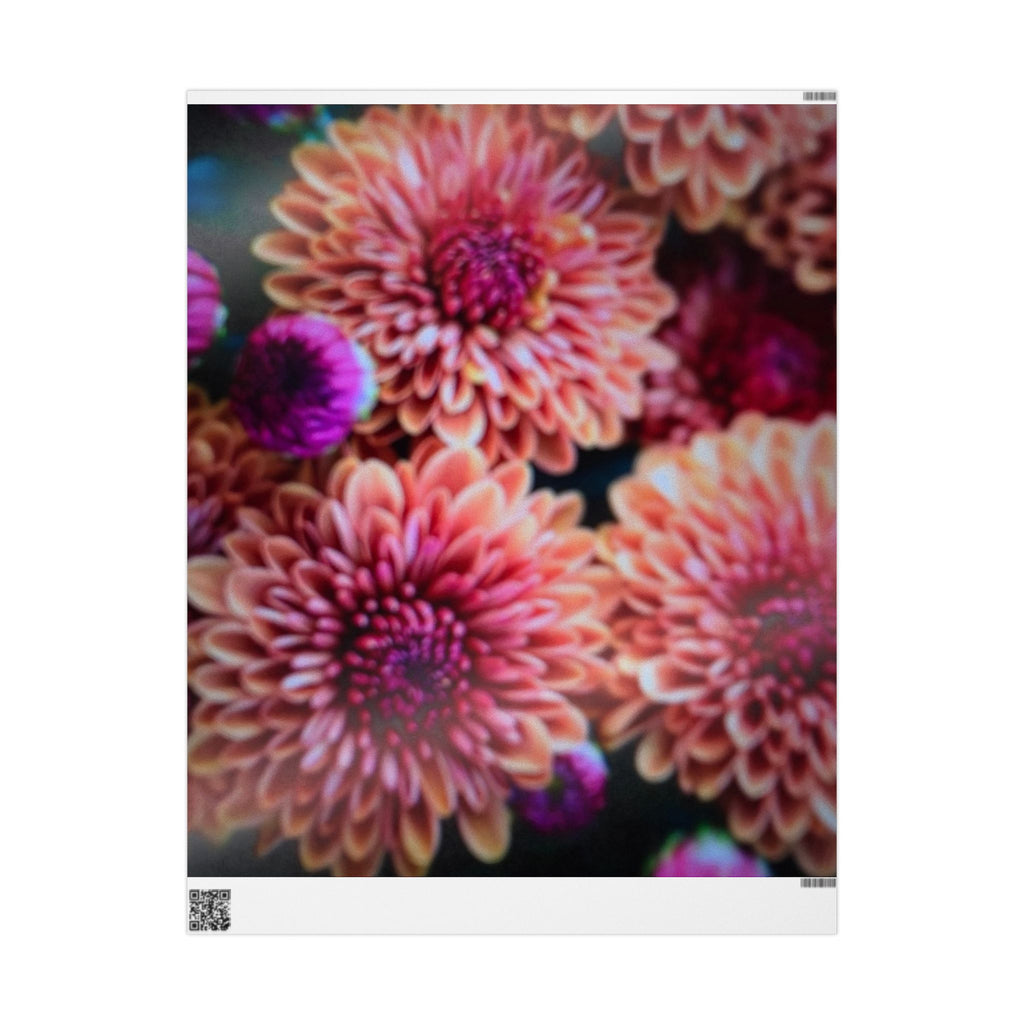 Chrysanthemum Floral Wrapping Paper Pink and Purple Blooms