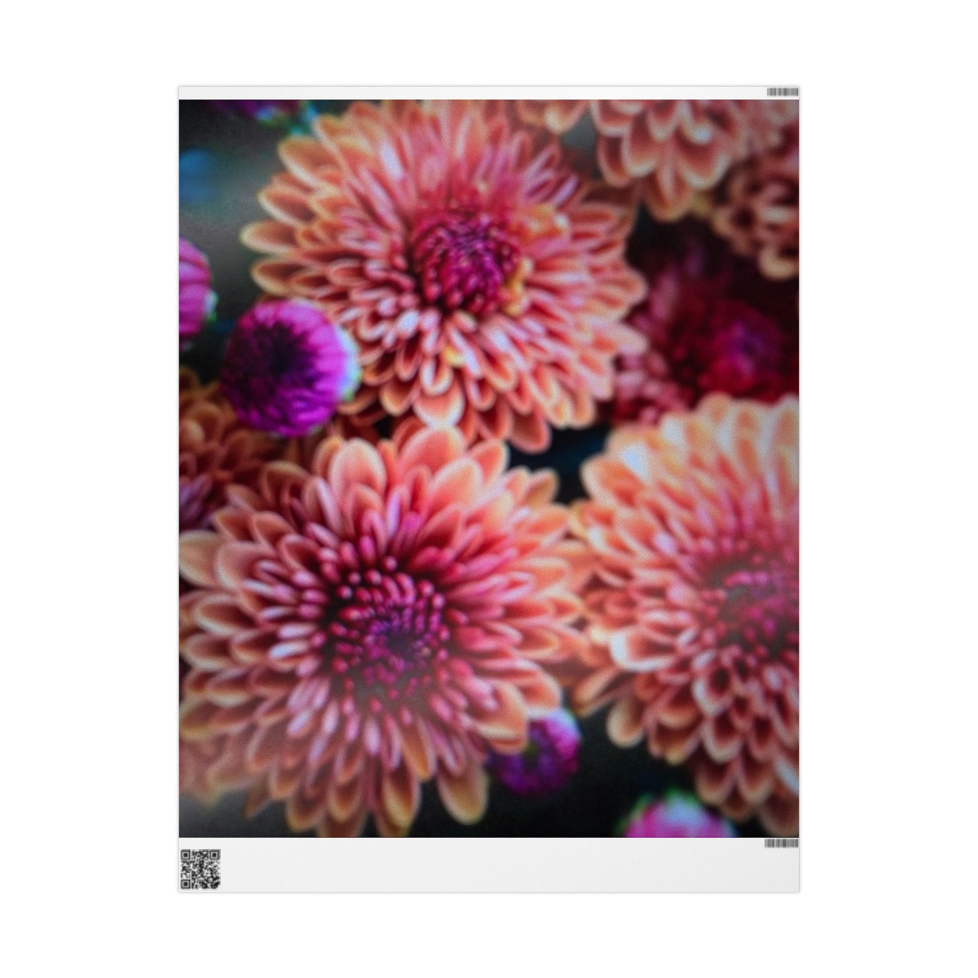Chrysanthemum Floral Wrapping Paper Pink and Purple Blooms