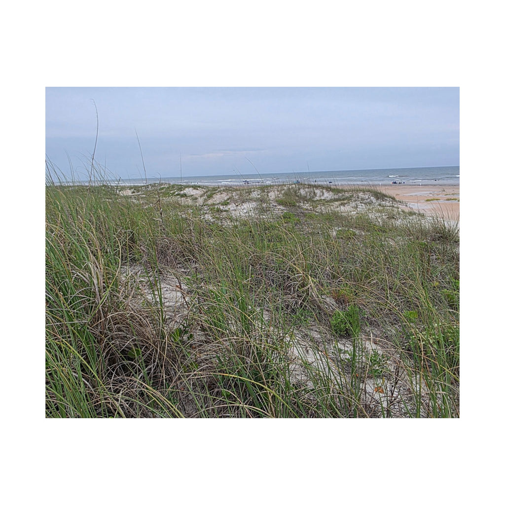 Tranquil Beach Horizon's,  Grass Matte Horizontal Poster - Coastal Wall Art for Relaxed Spaces