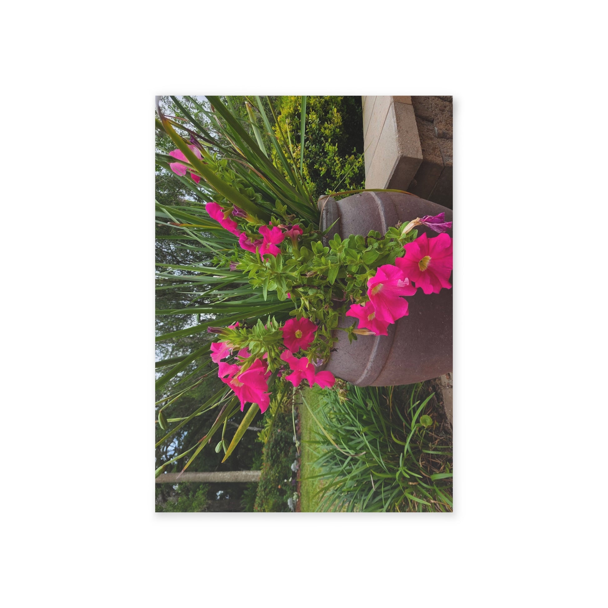 A rustic clay pot overflows with vibrant pink flowers