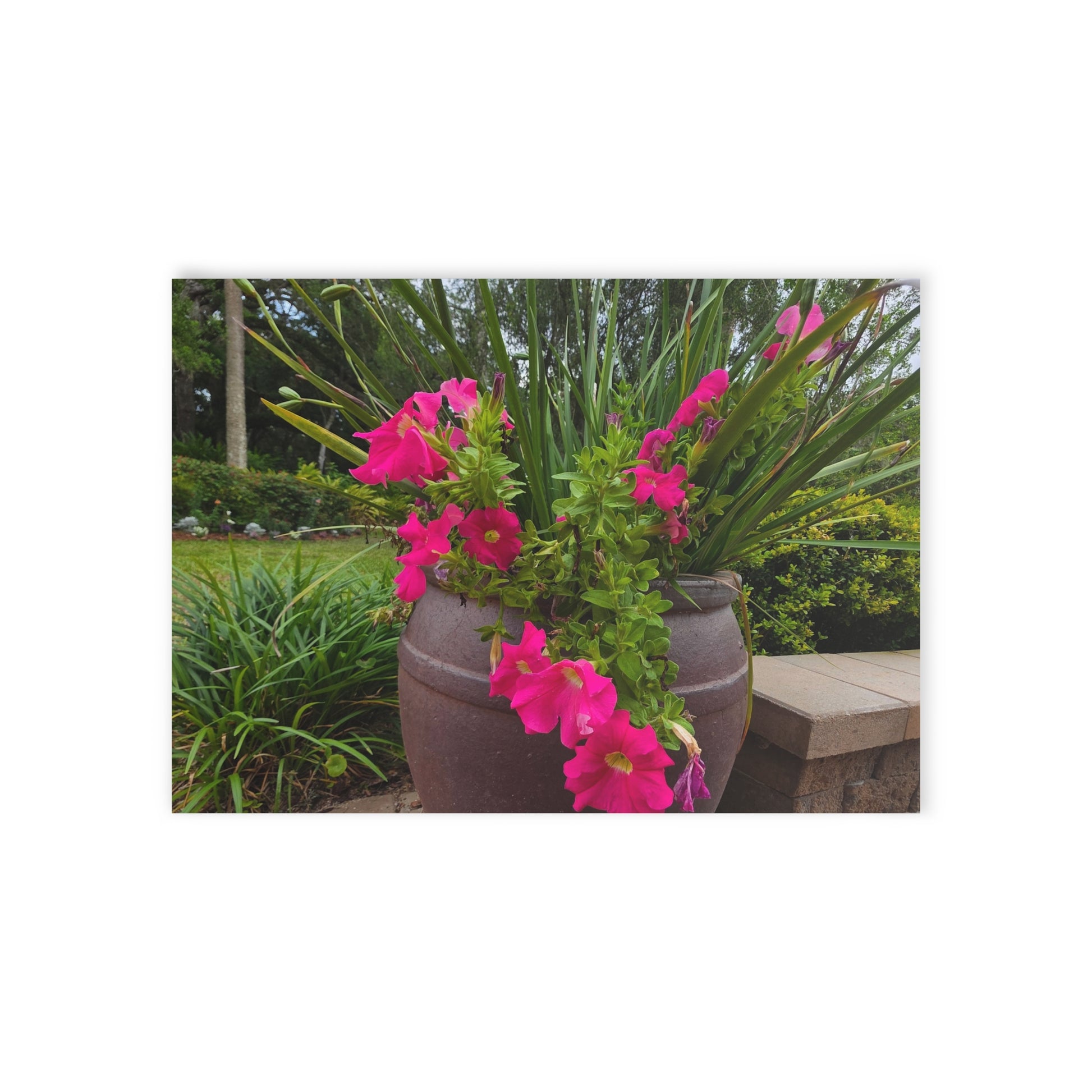 A rustic clay pot overflows with vibrant pink flowers