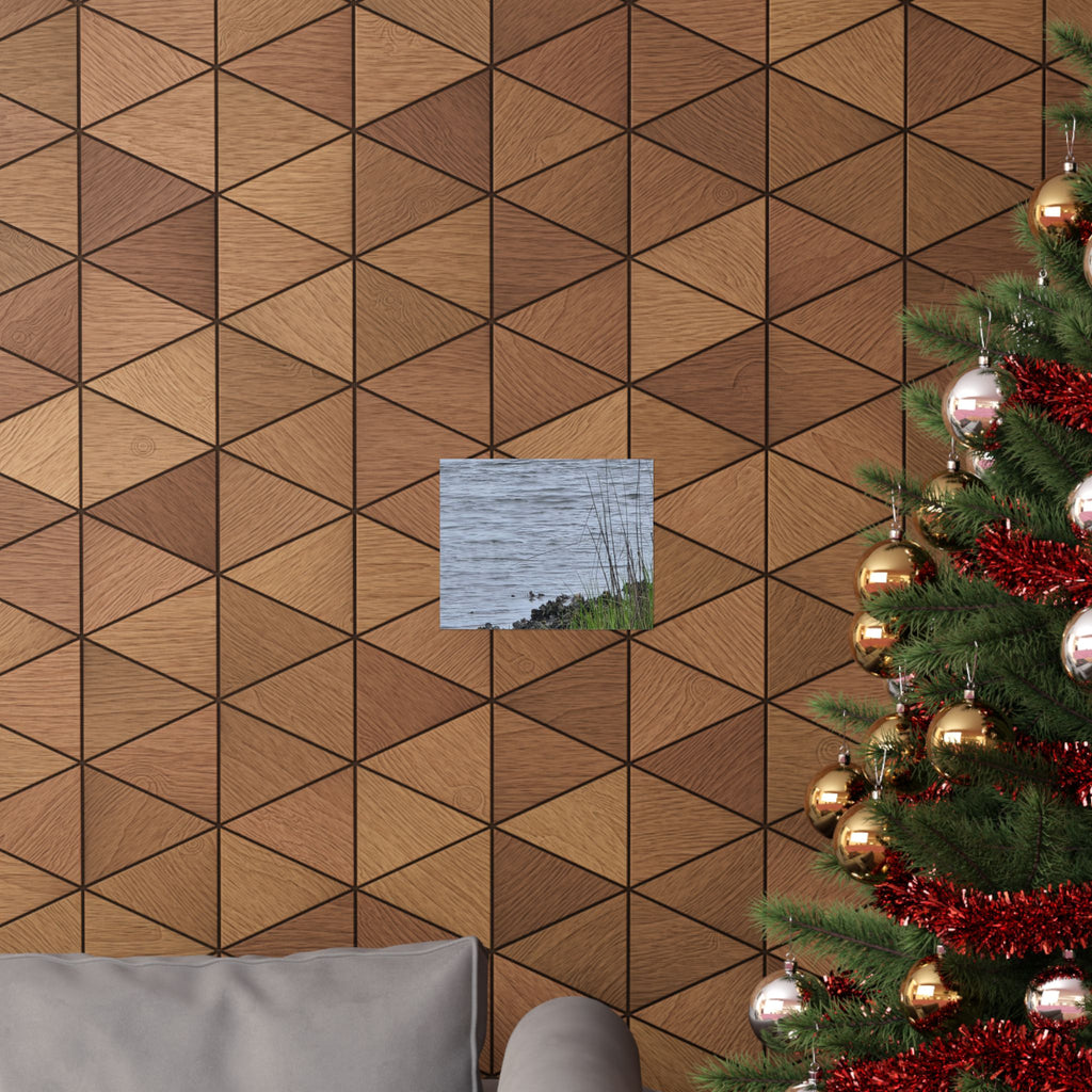 Tranquil Nature Matte Horizontal Posters - Serene Water Scene Wall Art