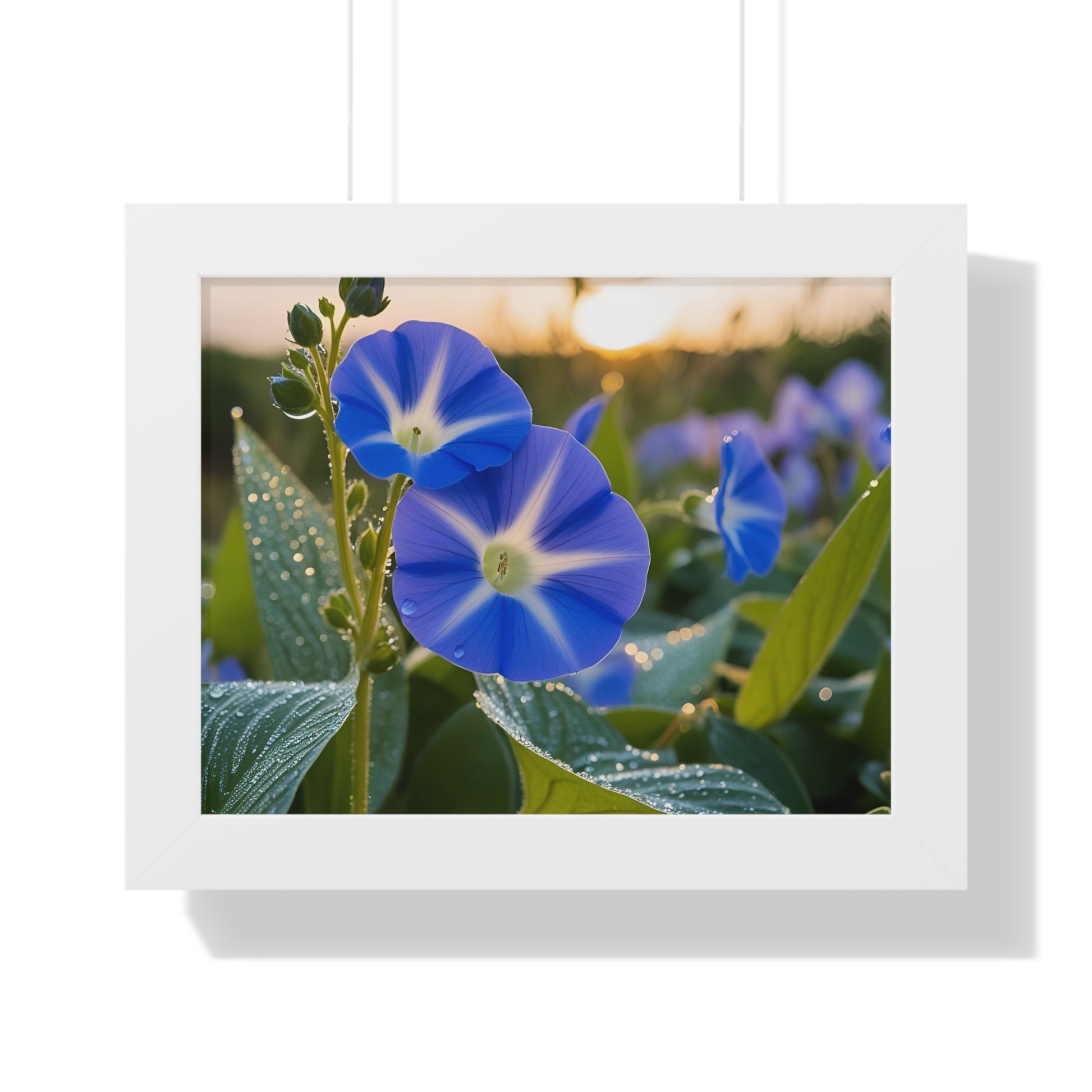 Framed Horizontal Poster