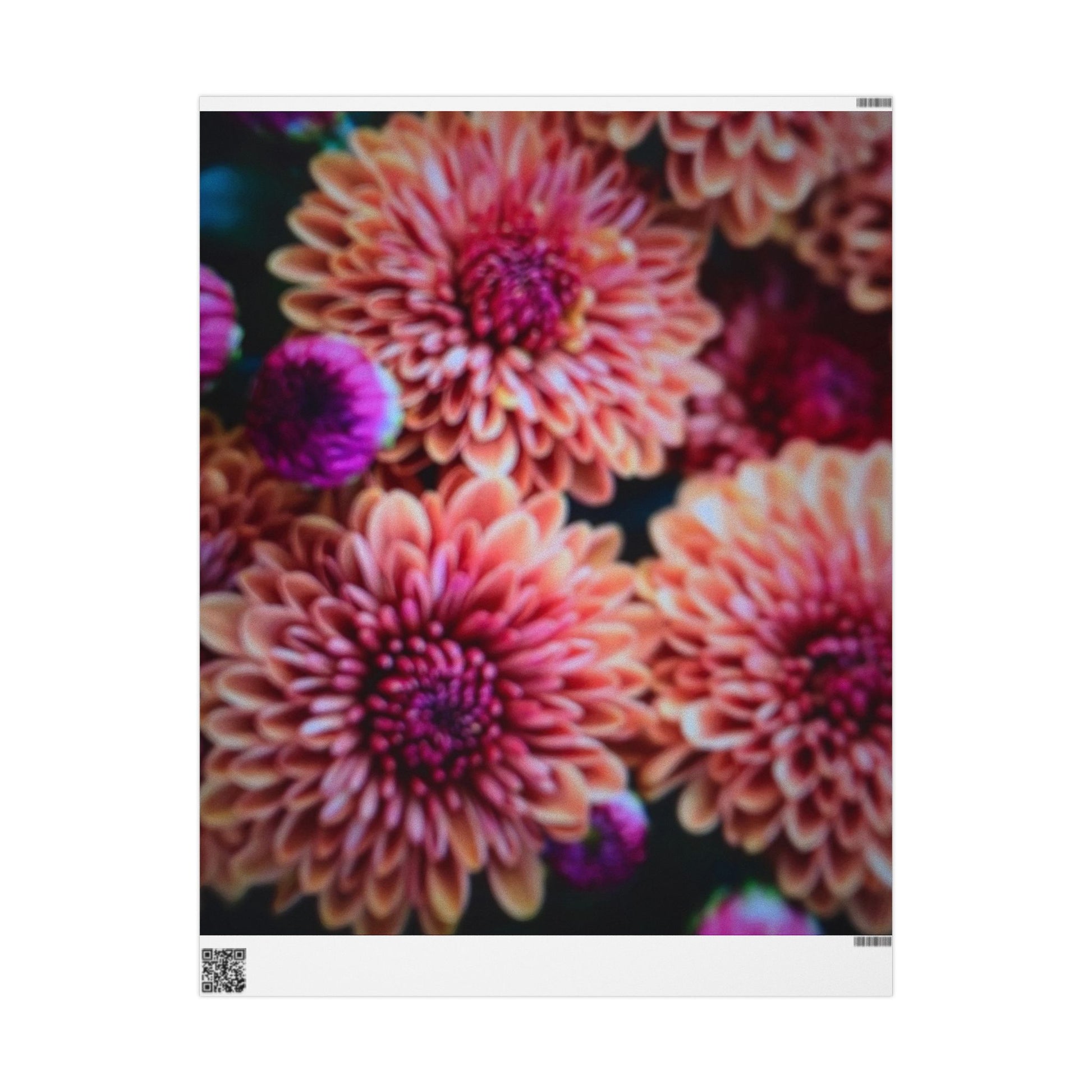 Chrysanthemum Floral Wrapping Paper Pink and Purple Blooms
