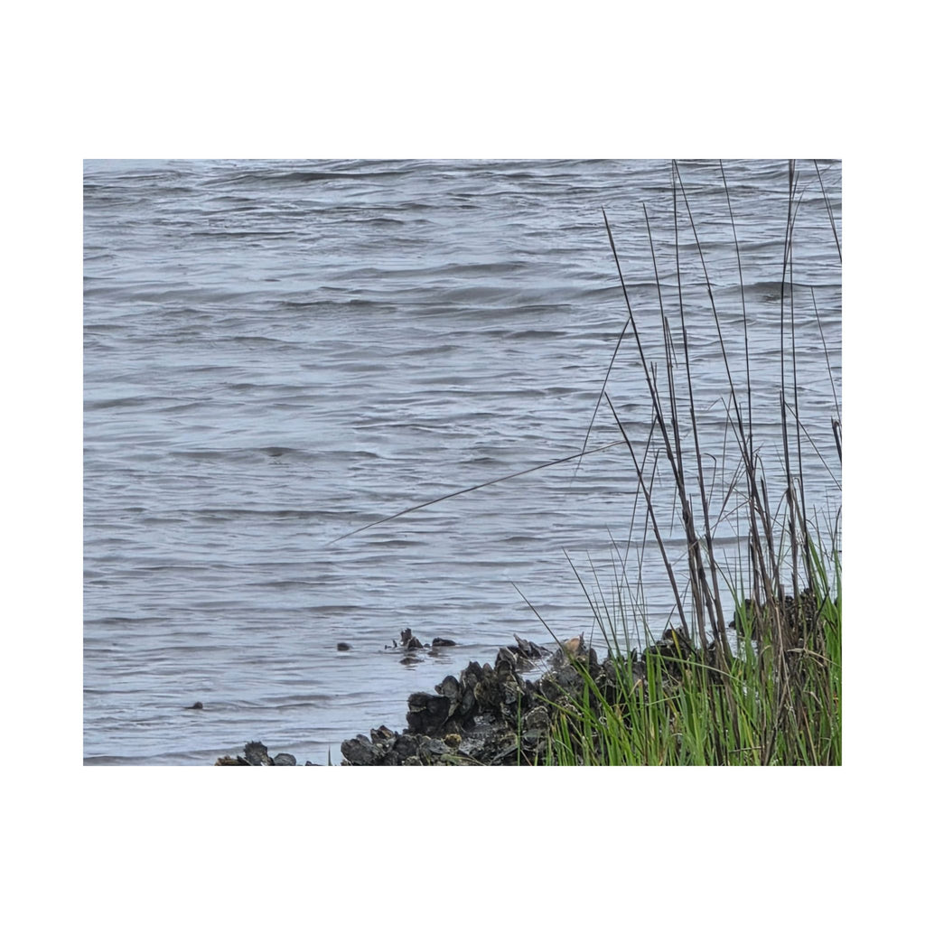 Tranquil Nature Matte Horizontal Posters - Serene Water Scene Wall Art
