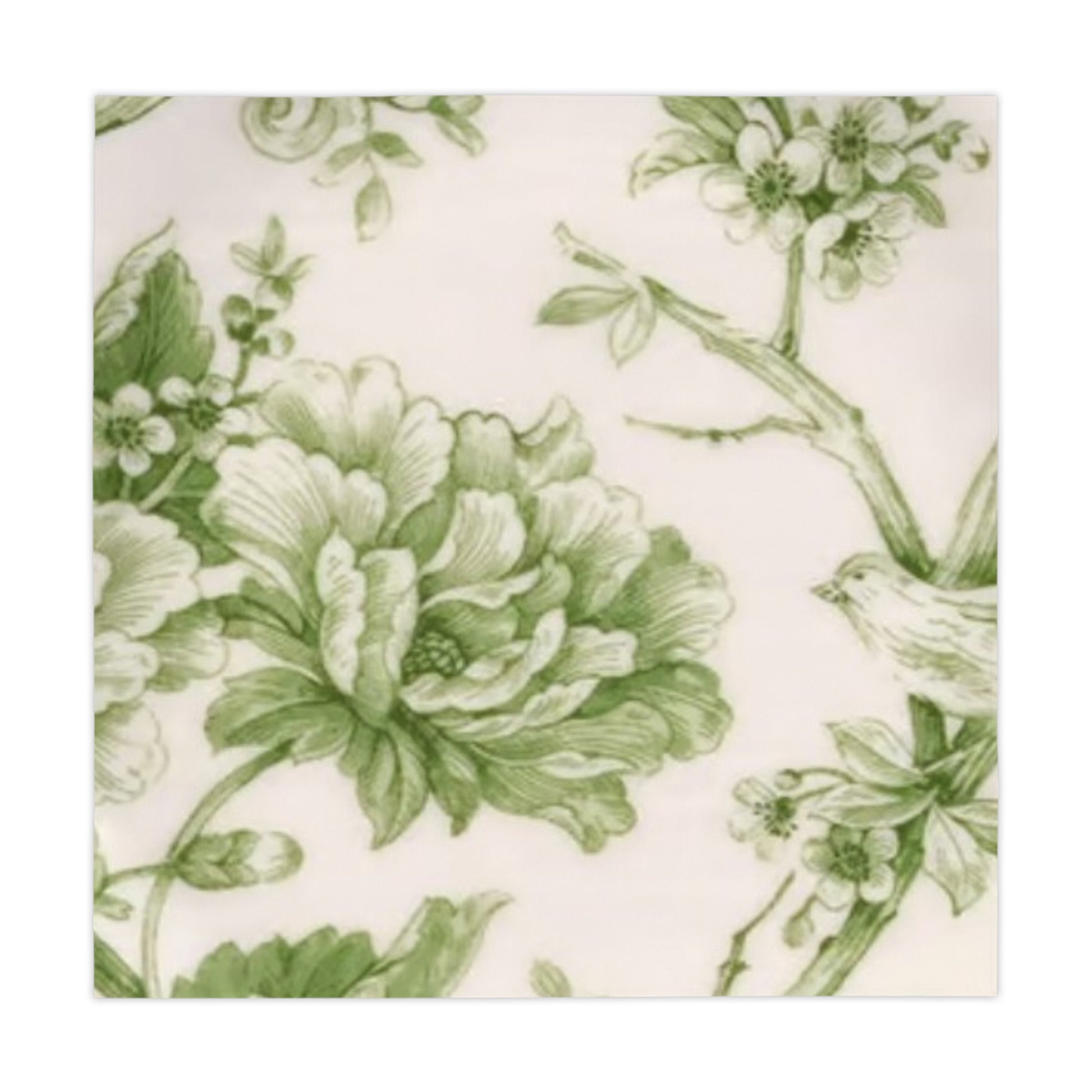 Tablecloth