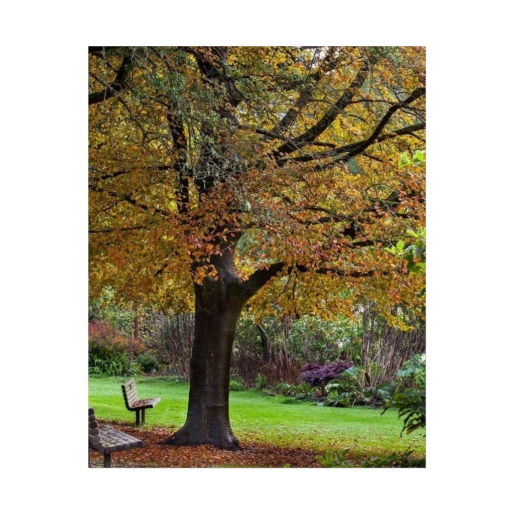 Autumn Serenity Rolled Poster - Cozy Nature Decor for Home & Office