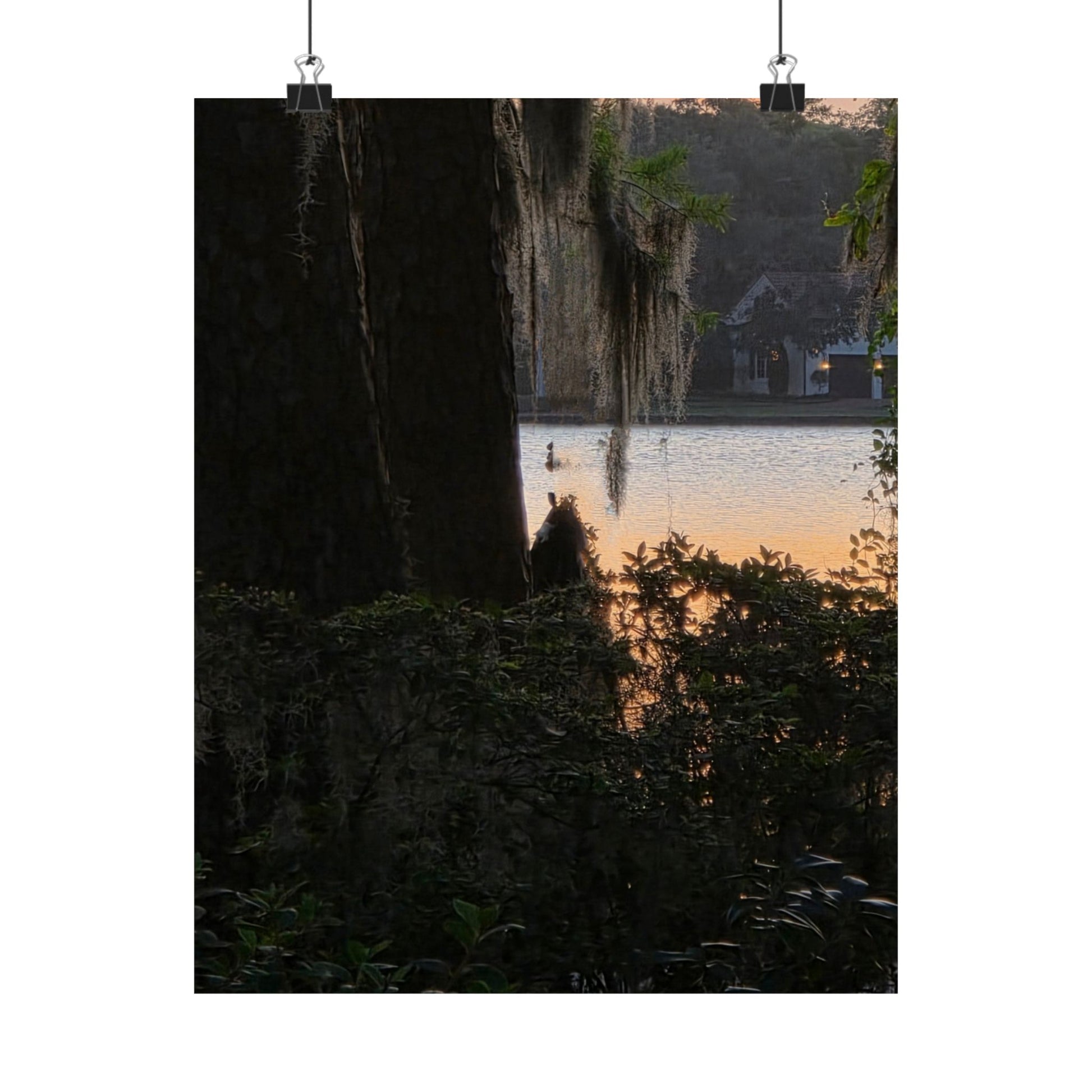 Serene Nature Satin Poster – 210gsm Wall Art