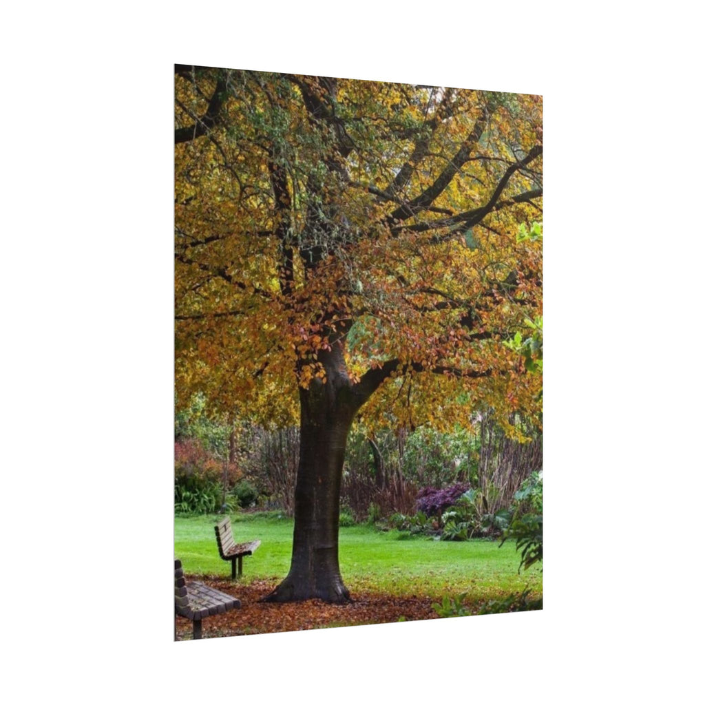 Autumn Serenity Rolled Poster - Cozy Nature Decor for Home & Office