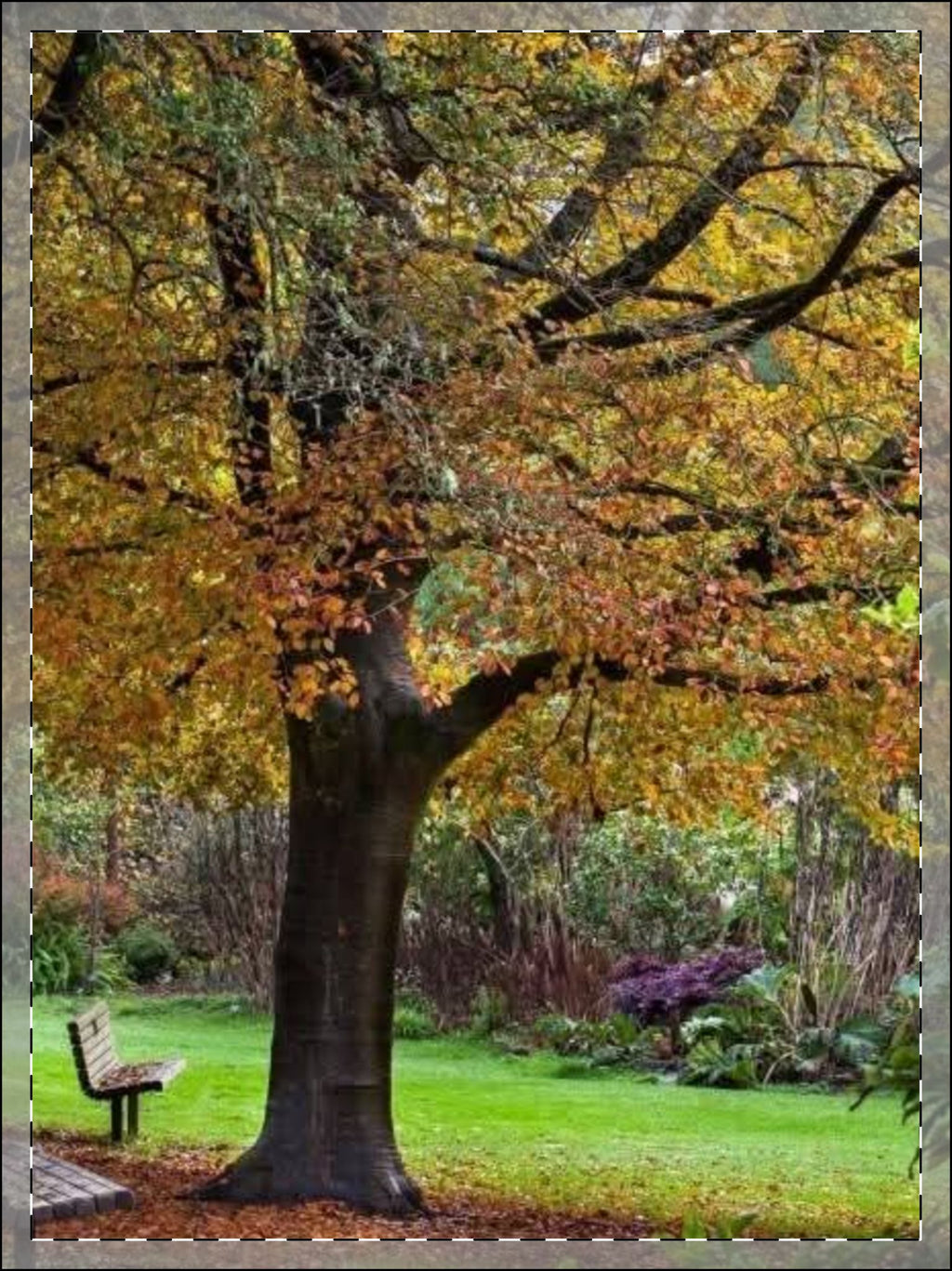 Framed Poster, Multi-Color