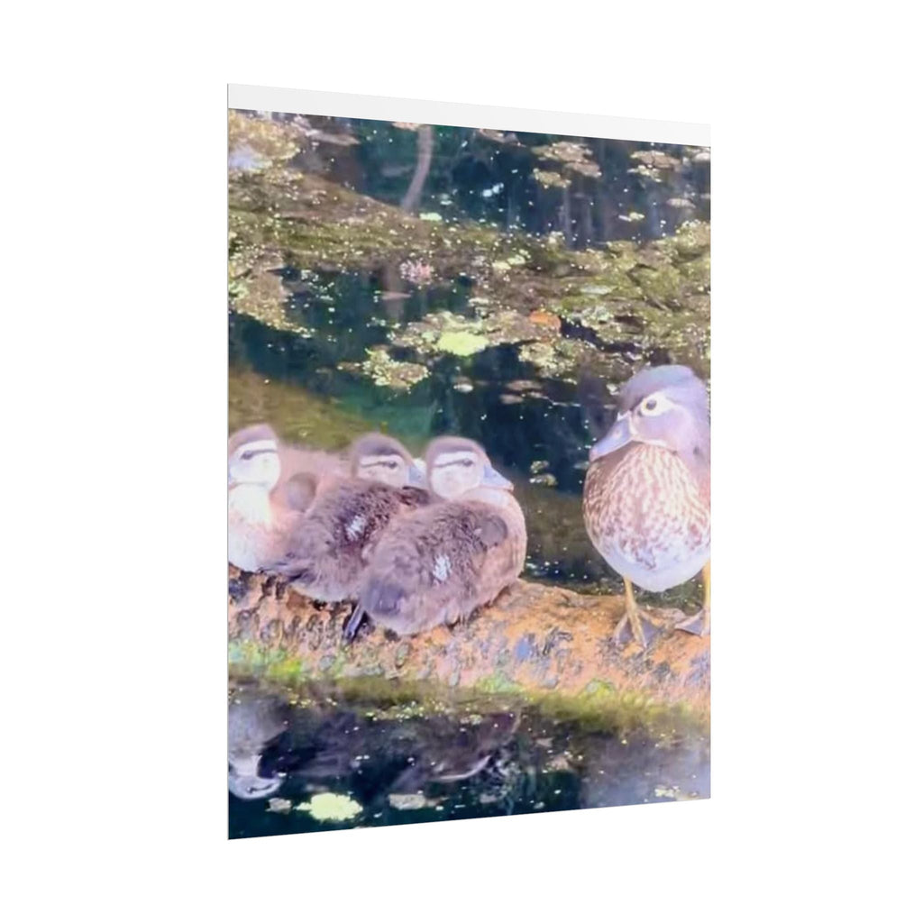 Nature-Inspired Rolled Posters - Serene Duck Family Design