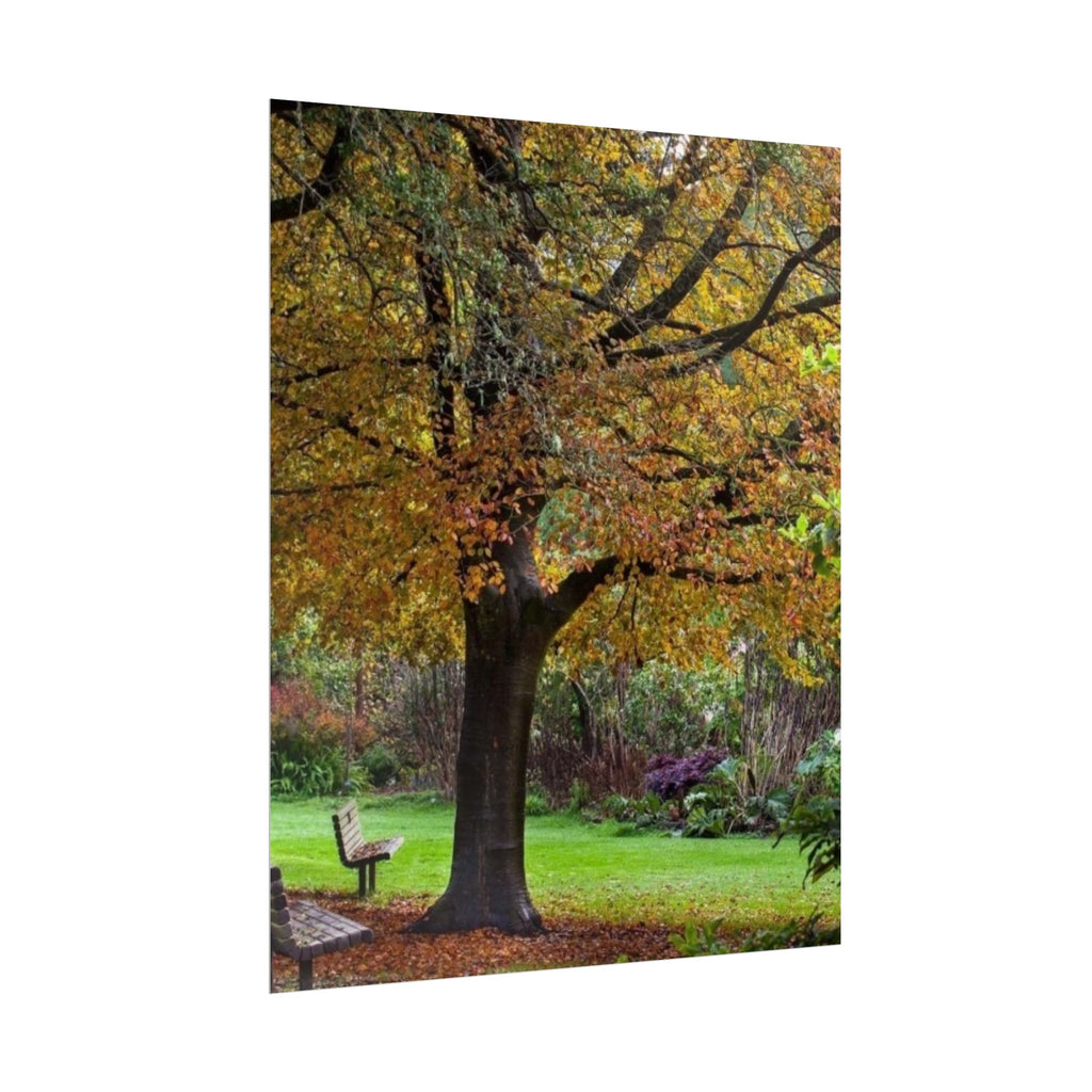 Autumn Serenity Rolled Poster - Cozy Nature Decor for Home & Office