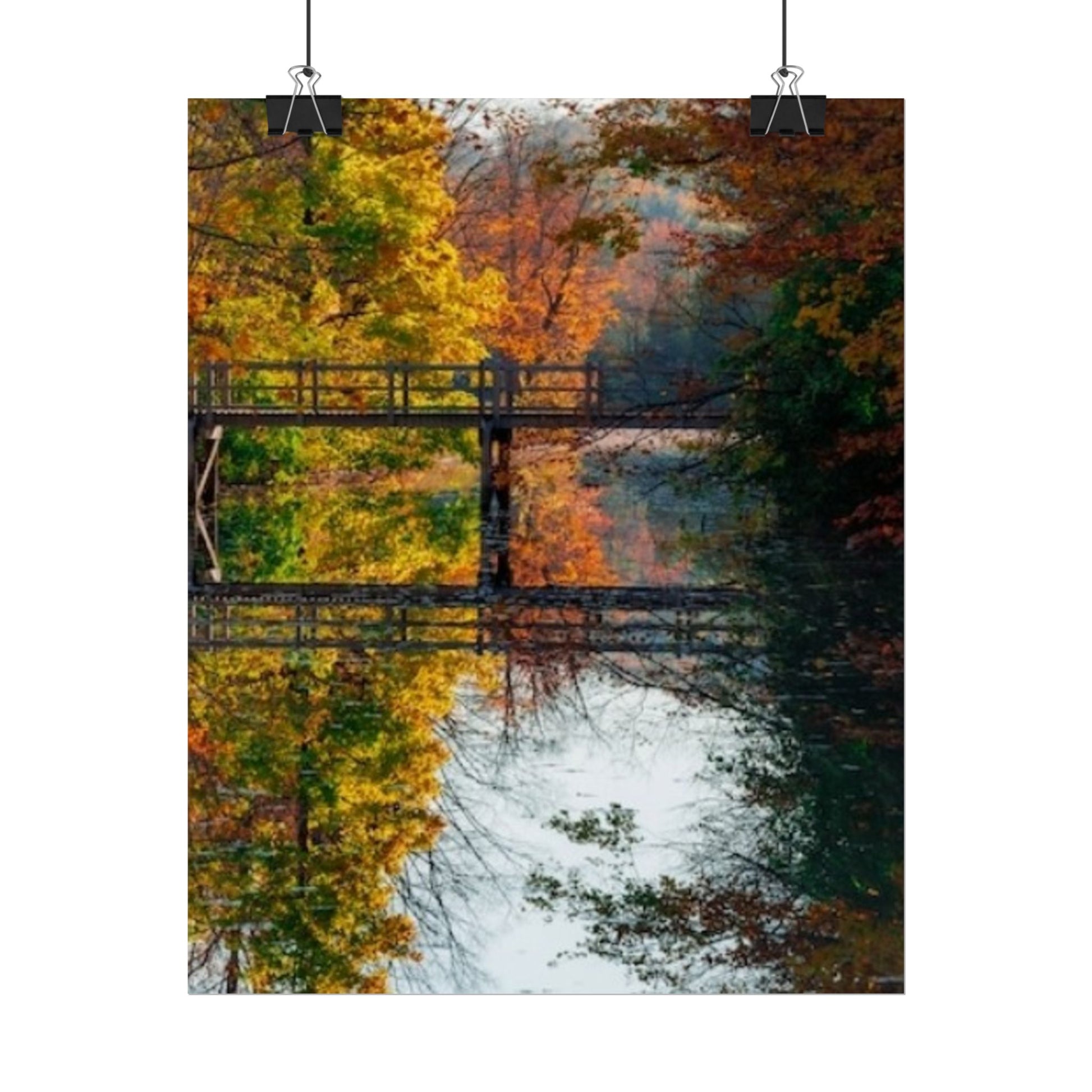 Rolled Posters