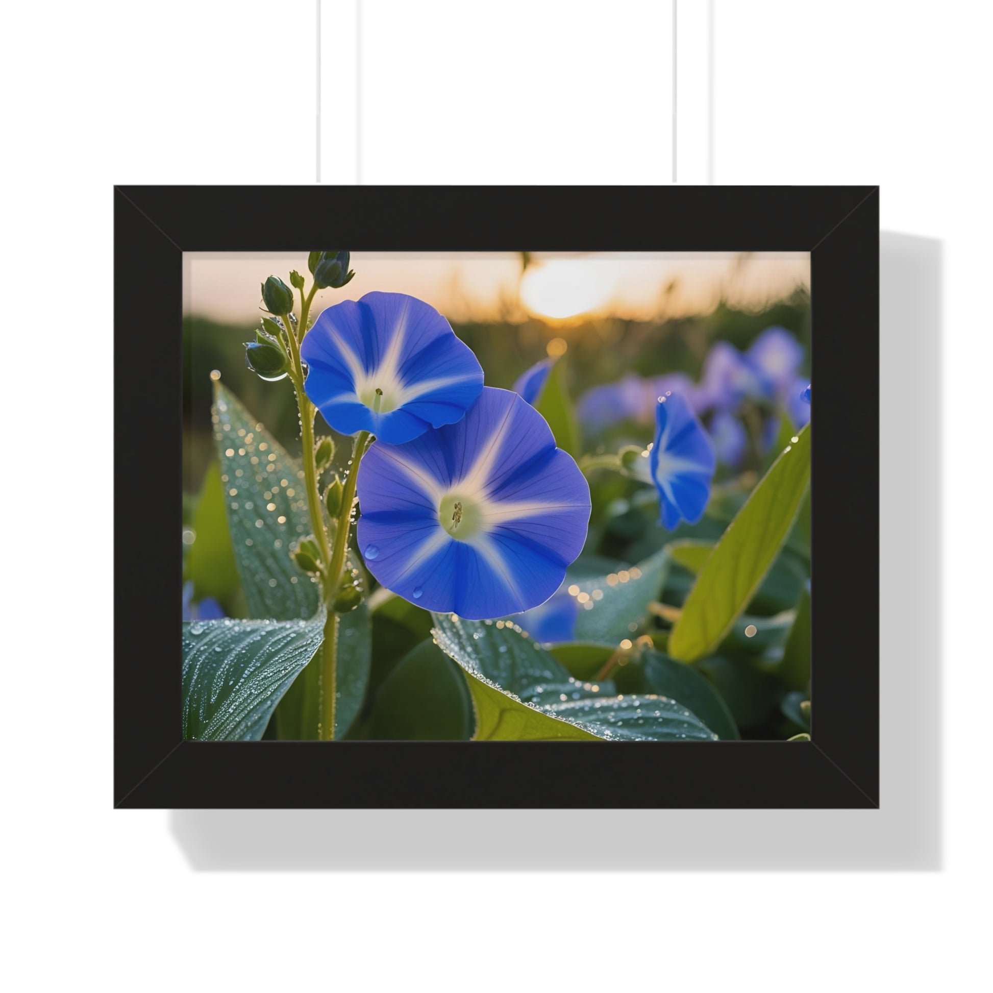 Framed Horizontal Poster