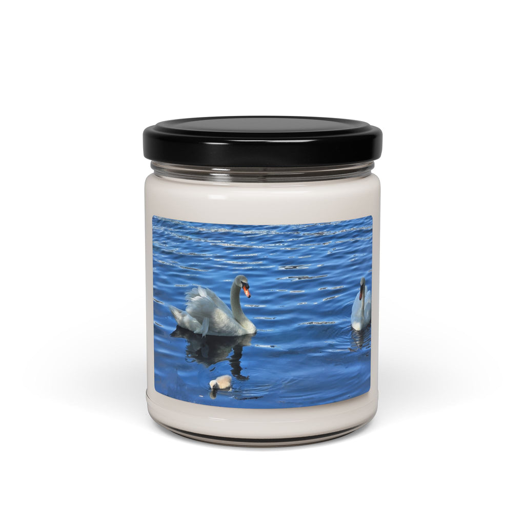 Scented Soy Candle, 9oz